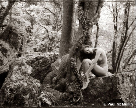 Paul McMullin Photo