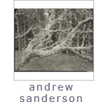 Andrew Sanderson Gallery